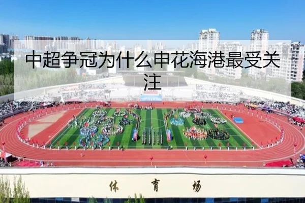 img_1780931554799_283_1_267.jpg